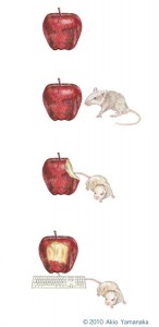 Apple and Mouse art project