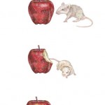 Apple and Mouse art project